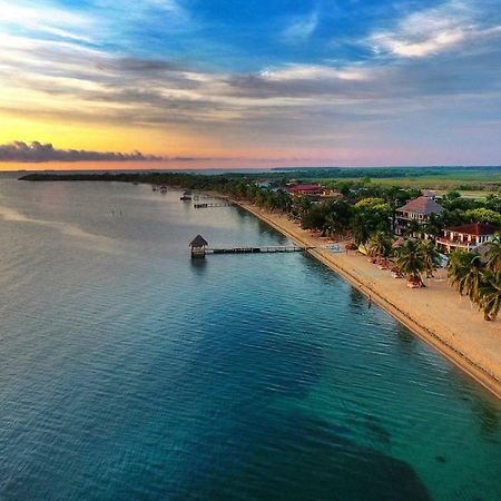 Almond Beach Resort At Jaguar Reef Hopkins Eksteriør bilde