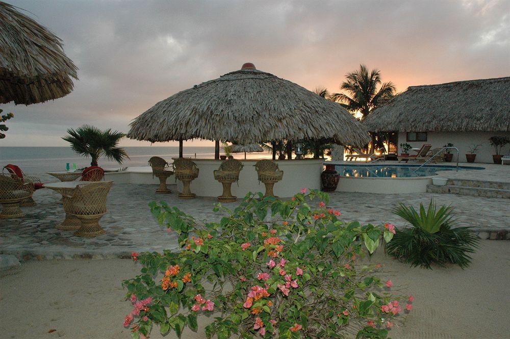 Almond Beach Resort At Jaguar Reef Hopkins Eksteriør bilde