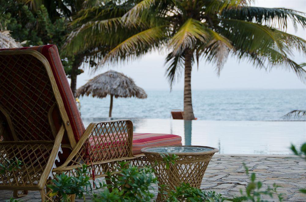 Almond Beach Resort At Jaguar Reef Hopkins Eksteriør bilde
