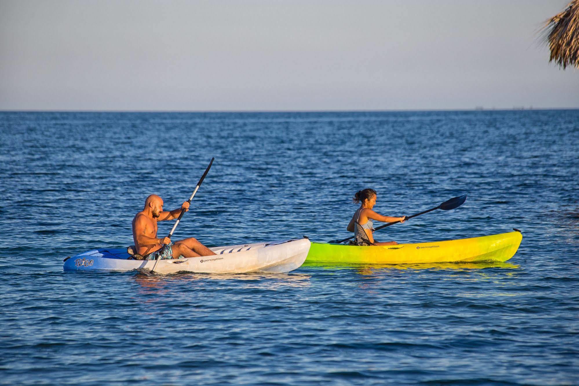 Almond Beach Resort At Jaguar Reef Hopkins Eksteriør bilde