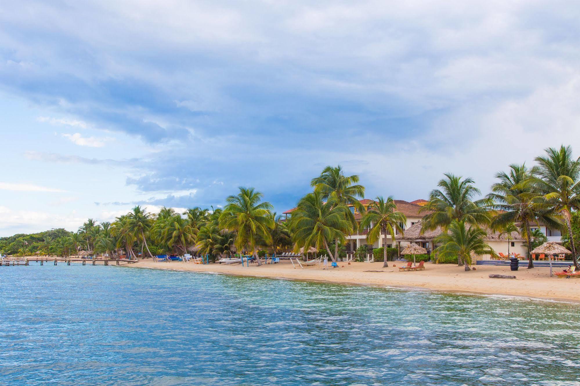 Almond Beach Resort At Jaguar Reef Hopkins Eksteriør bilde