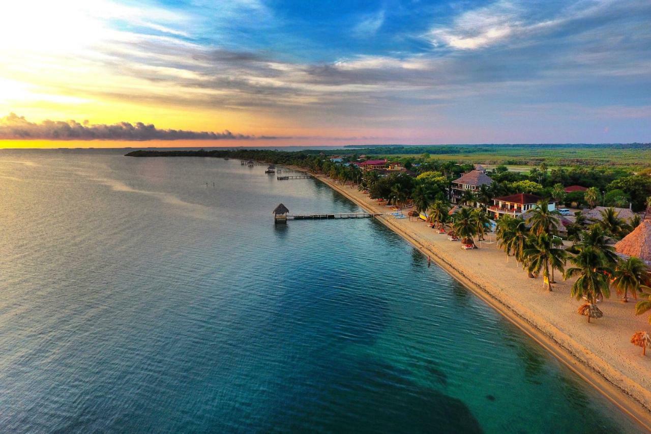 Almond Beach Resort At Jaguar Reef Hopkins Eksteriør bilde